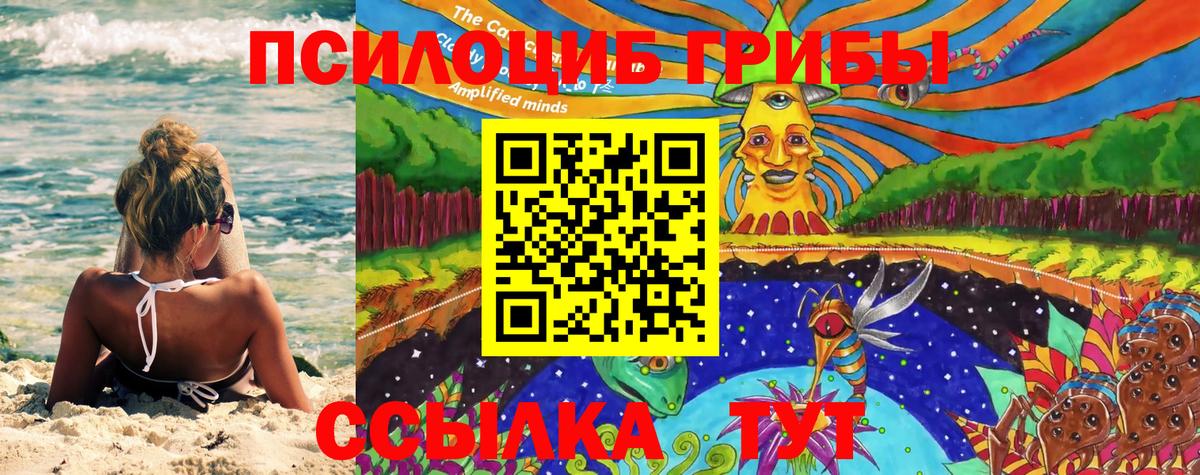 Псилоцибиновые грибы мицелий  Галлюциногенные грибы GOLDEN TEACHER  где купить наркоту  Вход с VPN  Торжок 